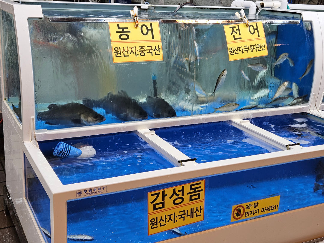 진해 동부 회센터 제철회