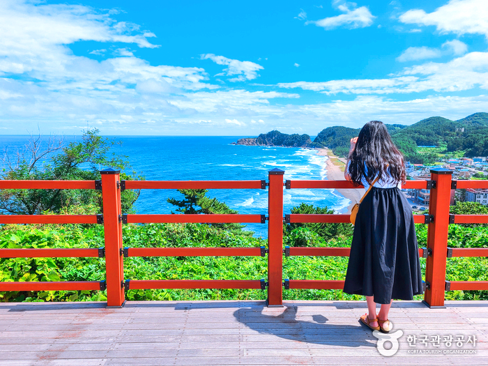 산 정상 전망대에 한여인이 풍경을 보고 있다.