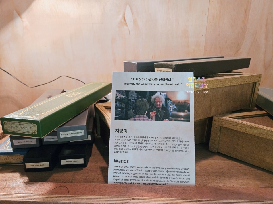 DDP 전시 후기 워너브라더스 100주년 특별전 10% 할인예약