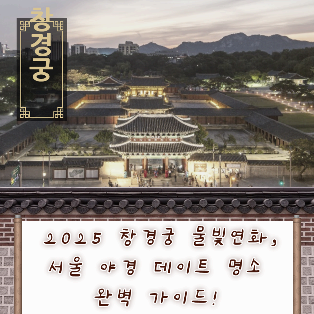 2025 창경궁 물빛연화, 서울 야경 데이트 명소 완벽 가이드!