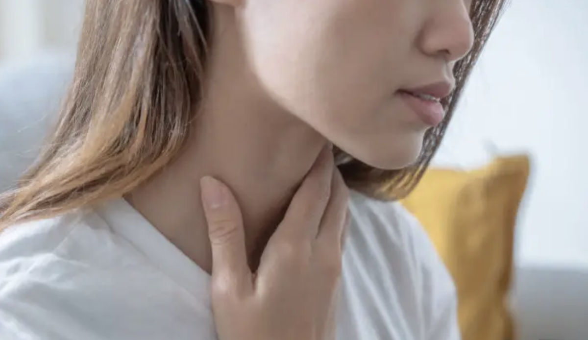 목 사진