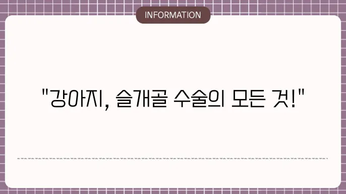 슬개골 수술과 회복 과정