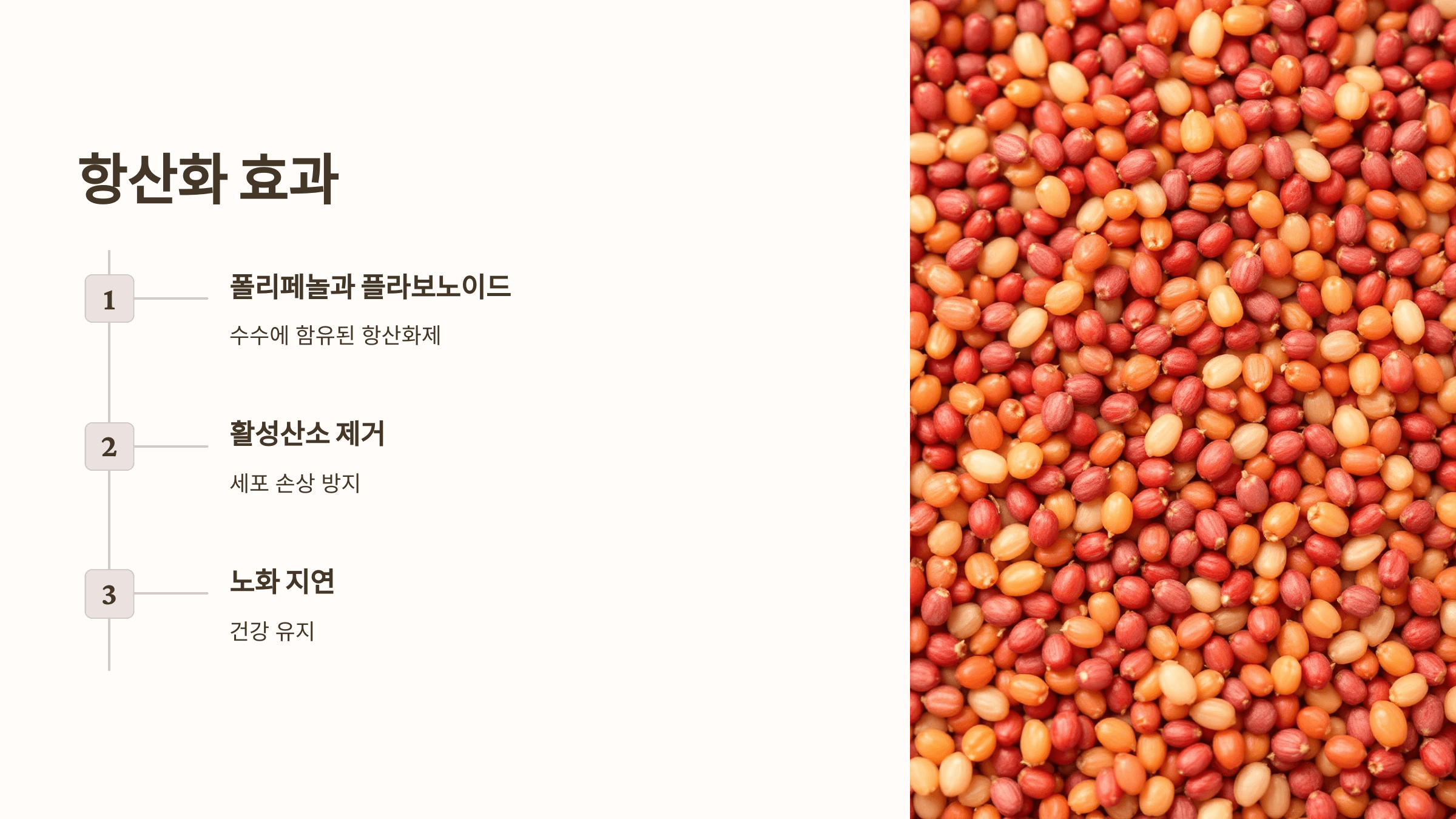 수수 사진입니다.