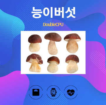 능이버섯 알아보기