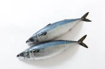 골다공증에 좋은 음식, 나쁜음식