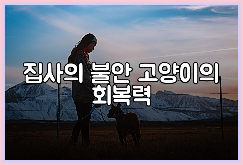 집사의 불안 고양이의 회복력
