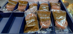 태백 기차 당일치기 여행