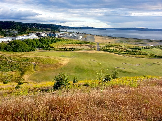 갈대와 어울리는 골프장