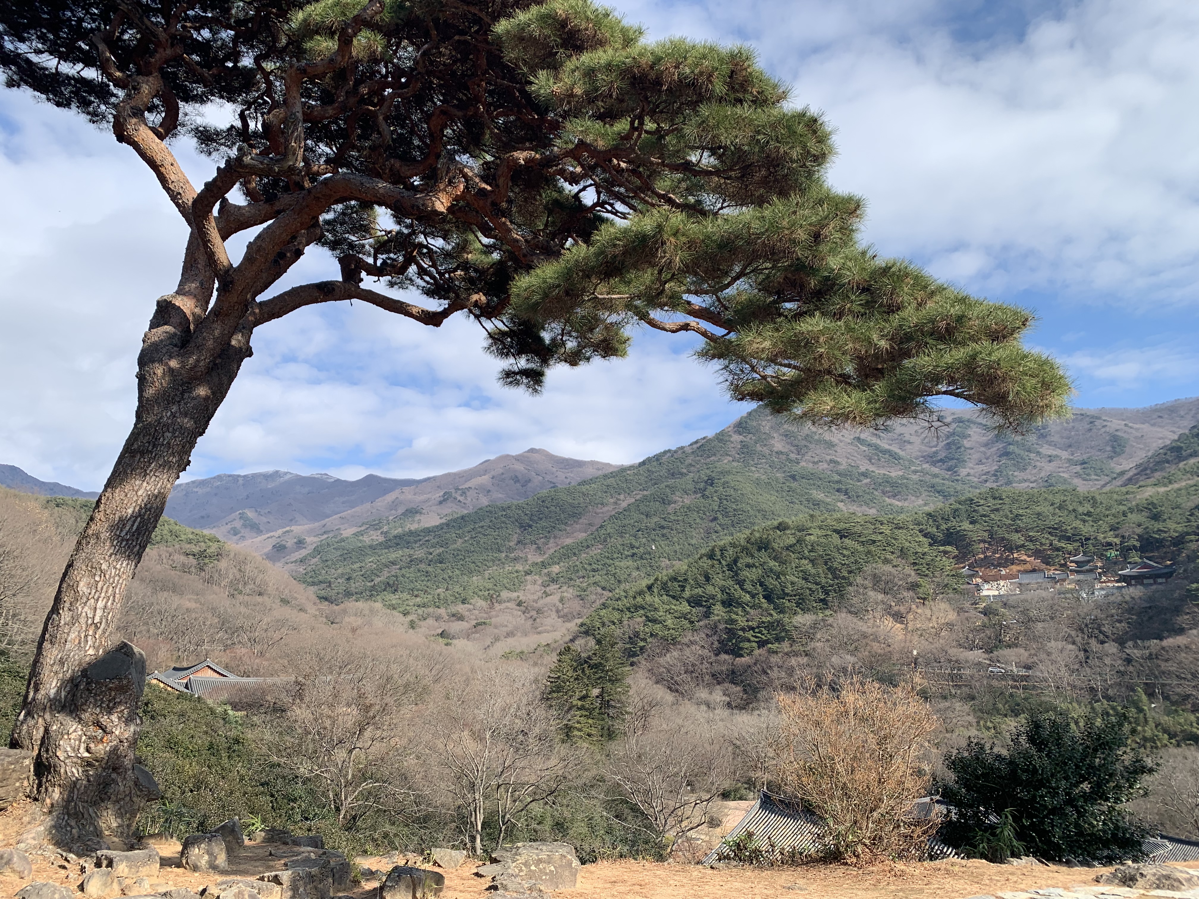 KTX 자유석 예약부터 이용방법 알아보기