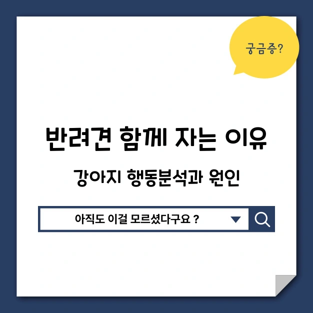 반려견 함께 자는 이유