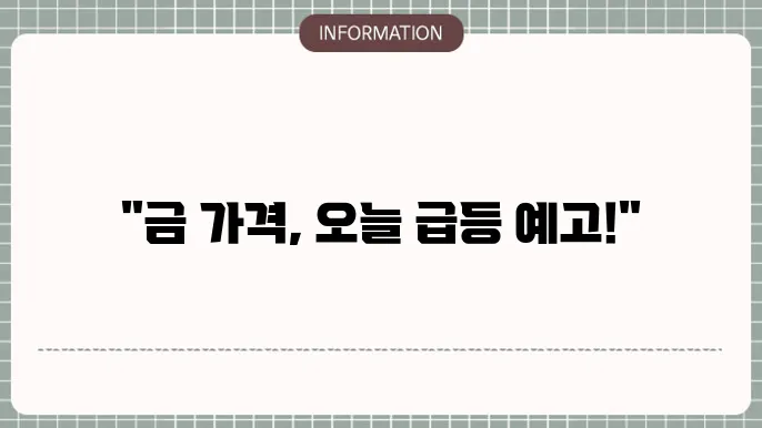 지난 1년 24K 18K 14K 오늘의 가격 전망