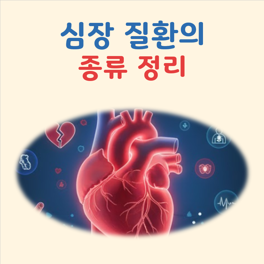 심장질환의 종류 대표 이미지
