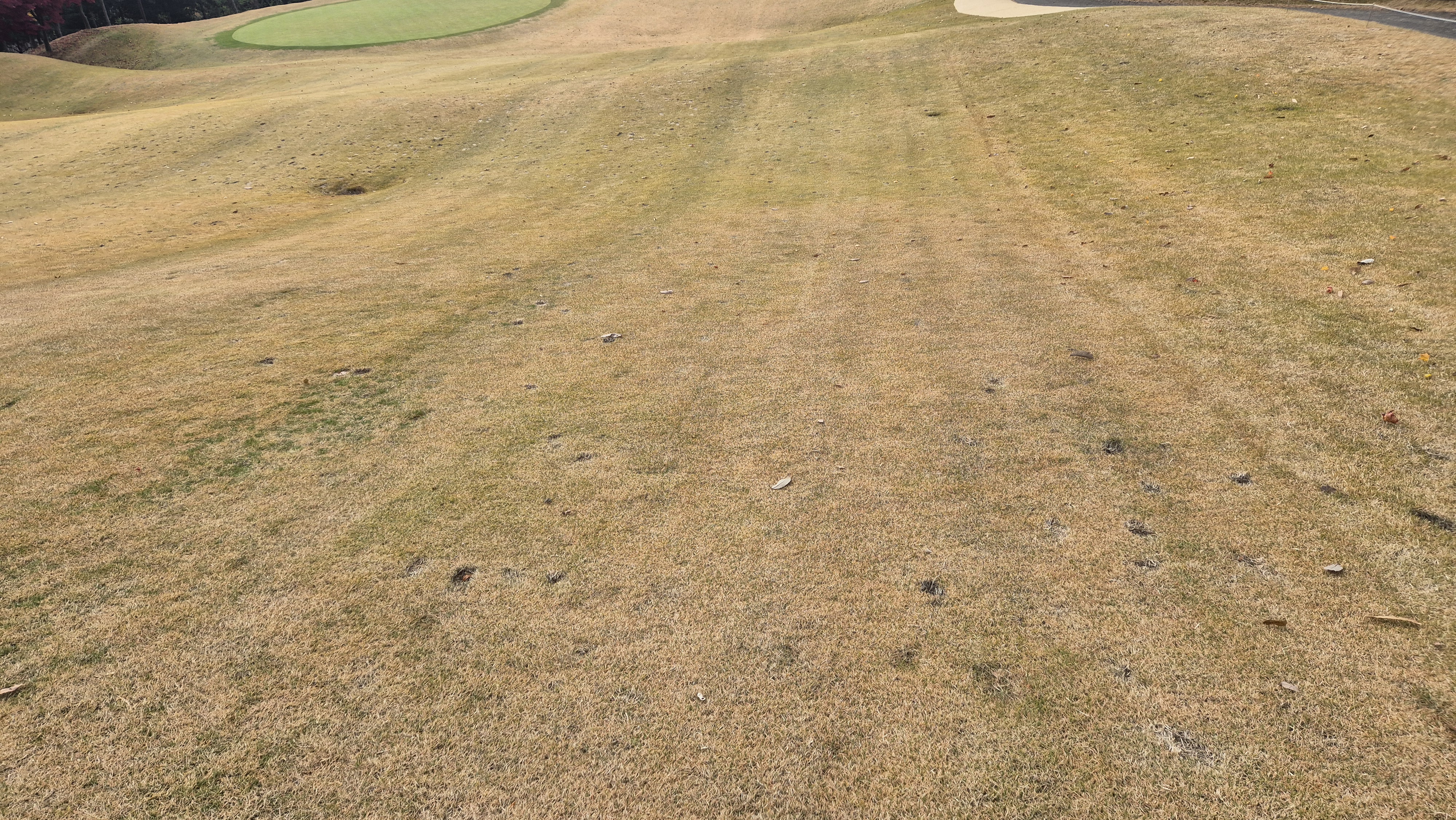 올데이 떼제베cc 가람-누리(서-남) 코스난이도