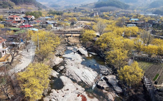 3월 국내 여행지 추천
