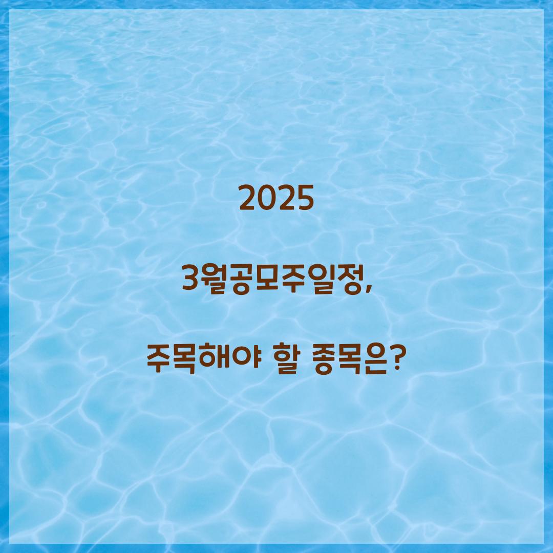 2025 3월공모주일정