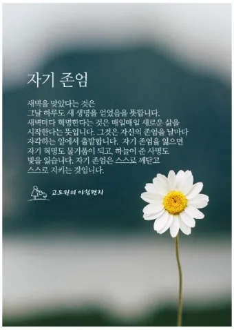 아침 좋은 명언 모음_4
