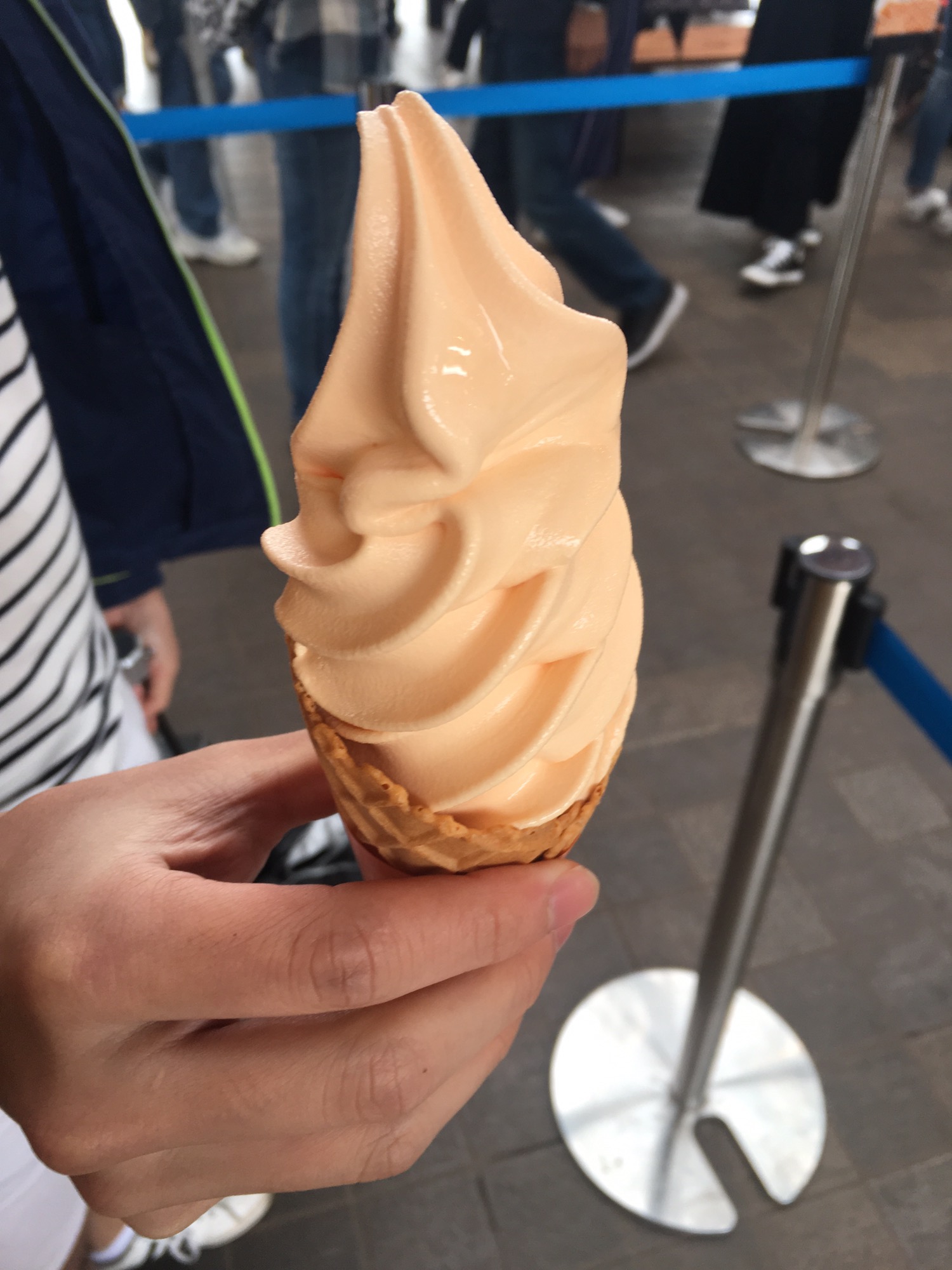 홋카이도 메론아이스크림