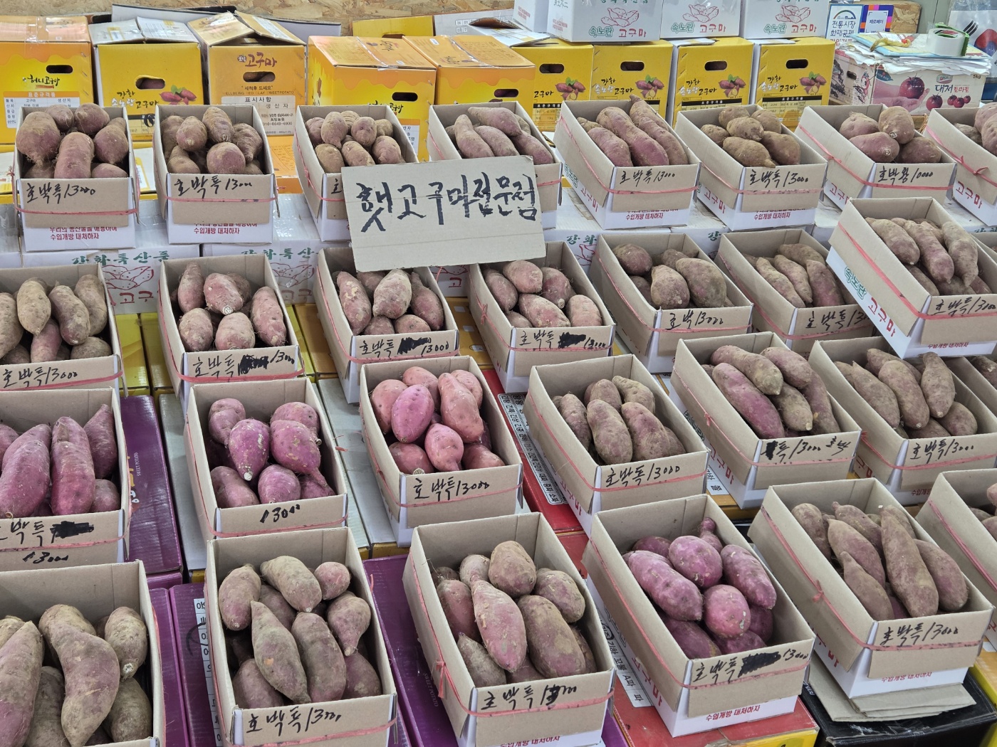 강화도 1박2일 효도여행