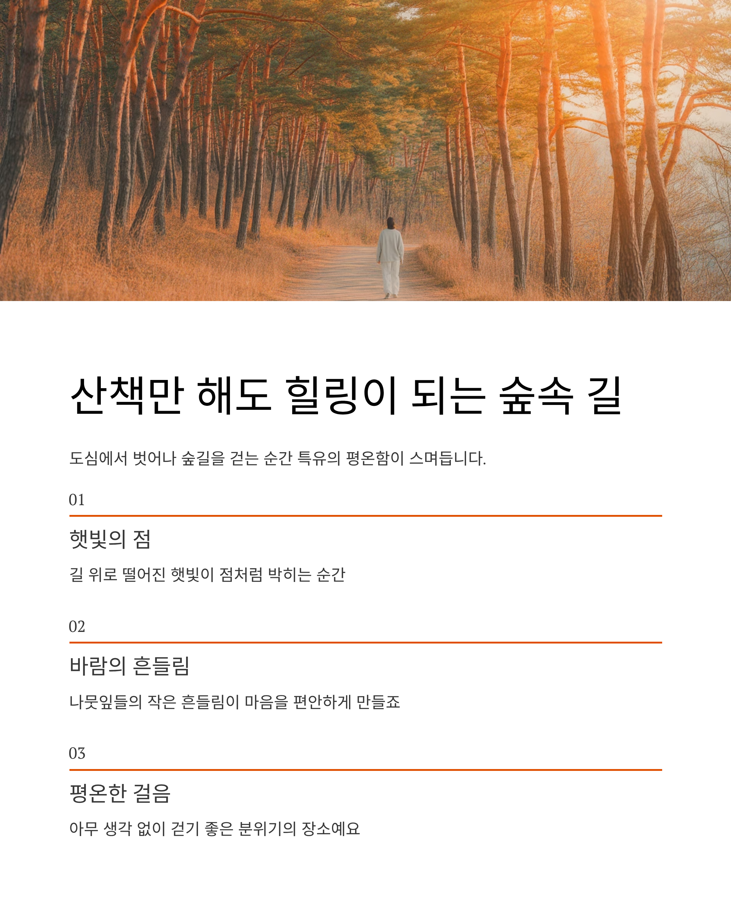 산책만 해도 힐링이 되는 숲속의 조용한 길