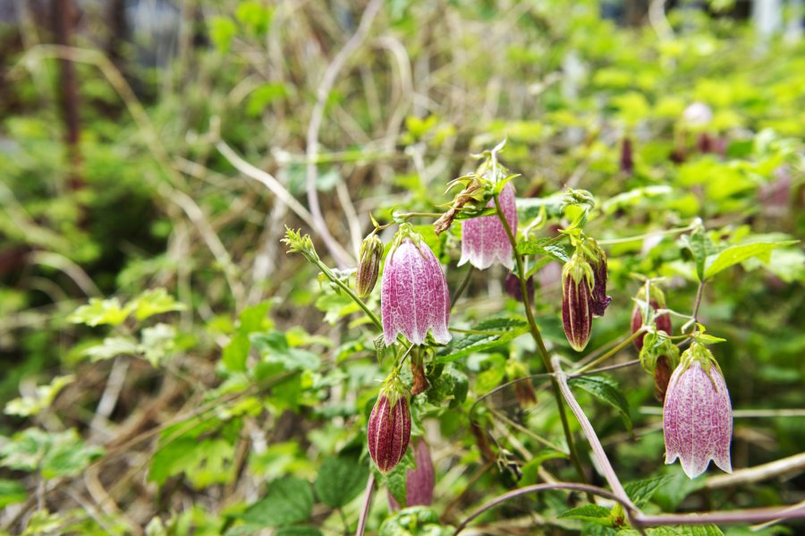 동삼1구역 재개발 지역