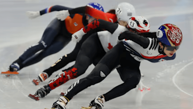 2026 동계올림픽 순위