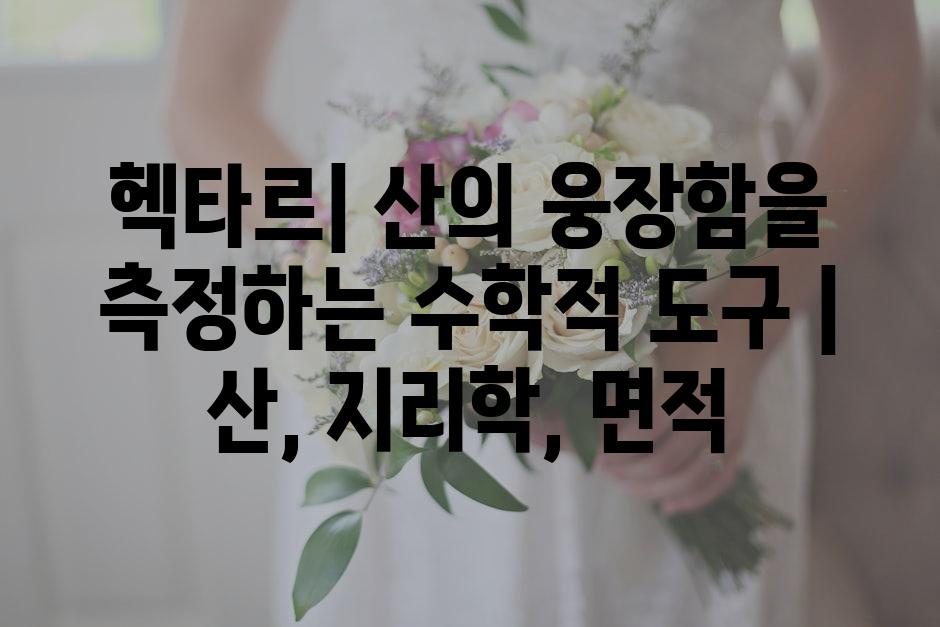 샘플 (71)