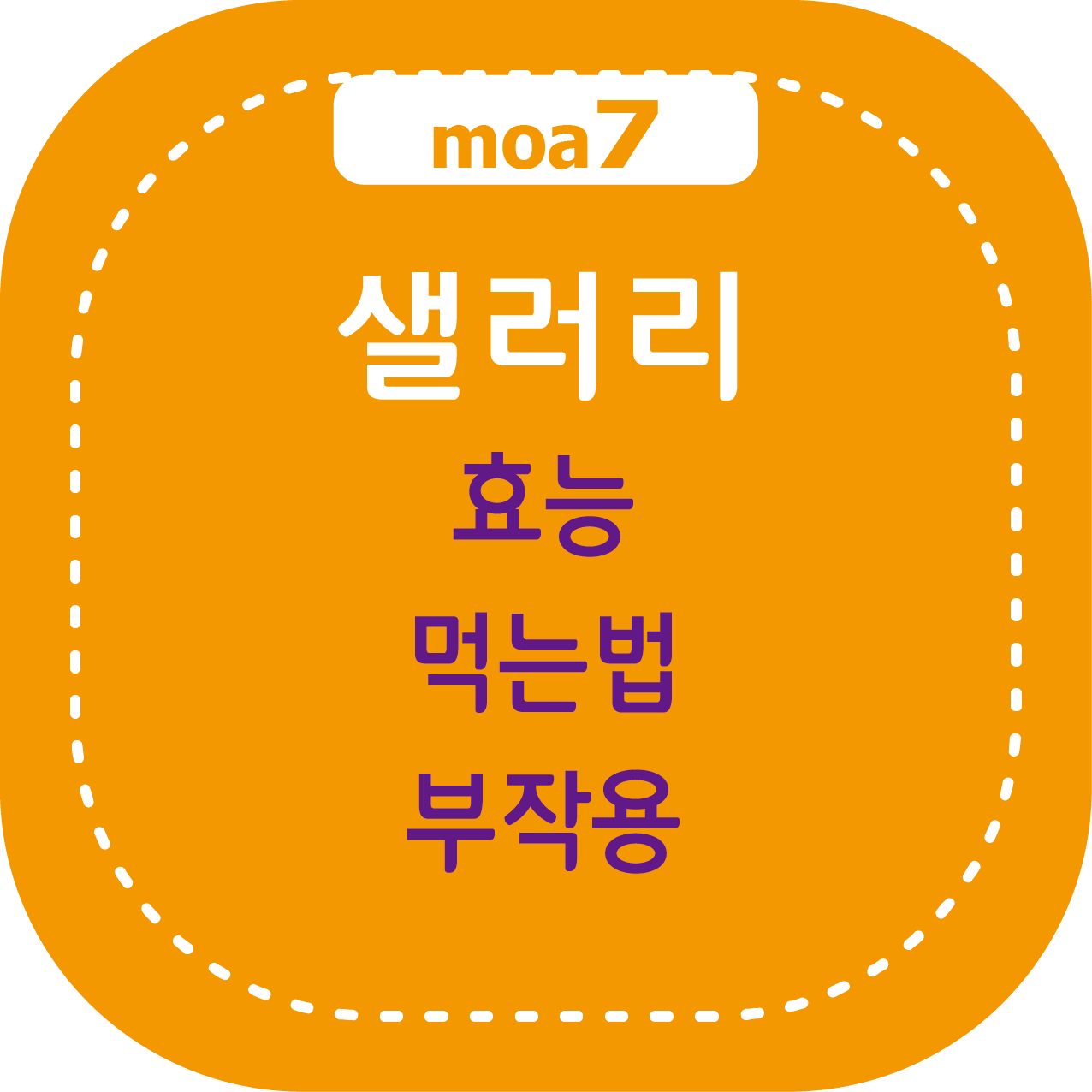샐러리 효능, 먹는법, 부작용