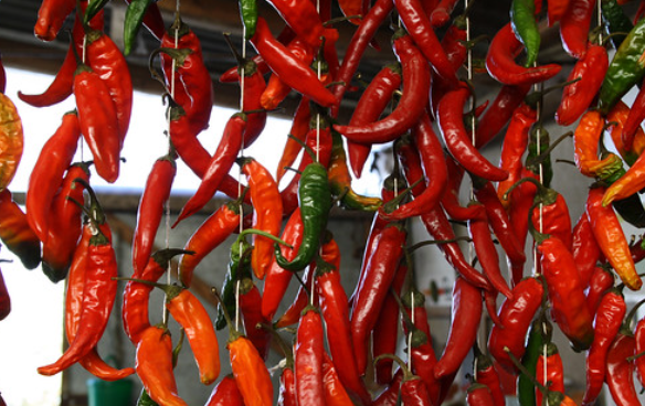 페페론치노_효능