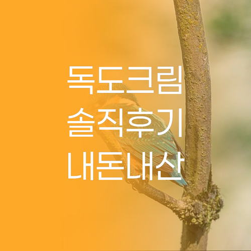 라운드랩 독도 크림 솔직 후기, 내 ..
