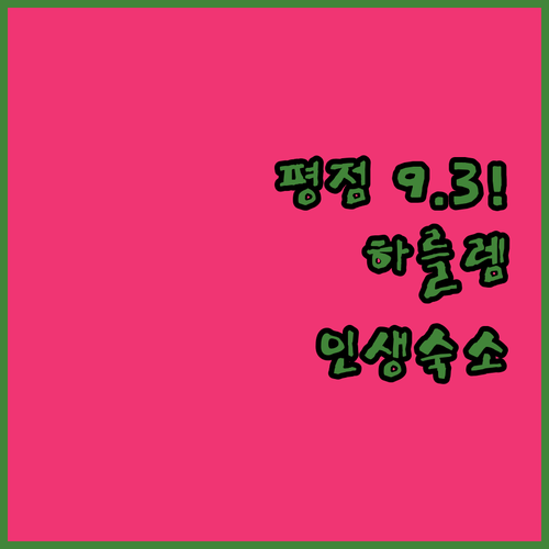 평점 9.3의 비밀 하를렘에서 완벽한..