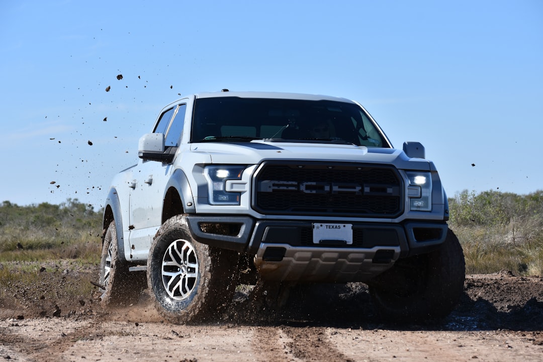 Raptor