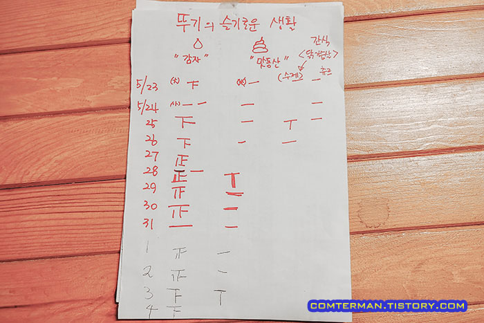 고양이 배변기록지 생활기록부