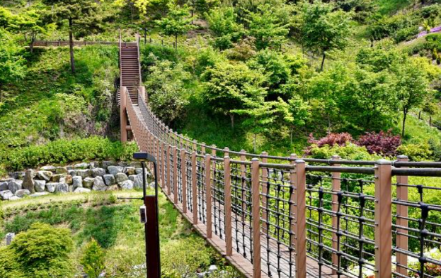 충청권 수국 명소 추천 7곳, 지금 안 가면 손해! 여름 꽃 여행지