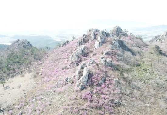 주작산