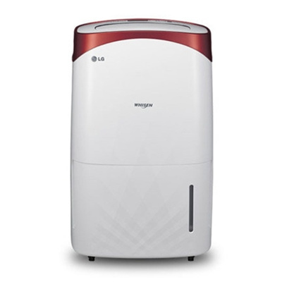 LG 휘센 10L 제습기 LD-109CZR/S
