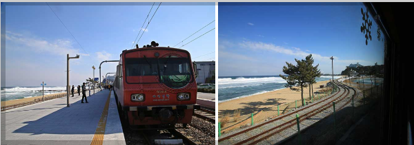 정선아리랑열차