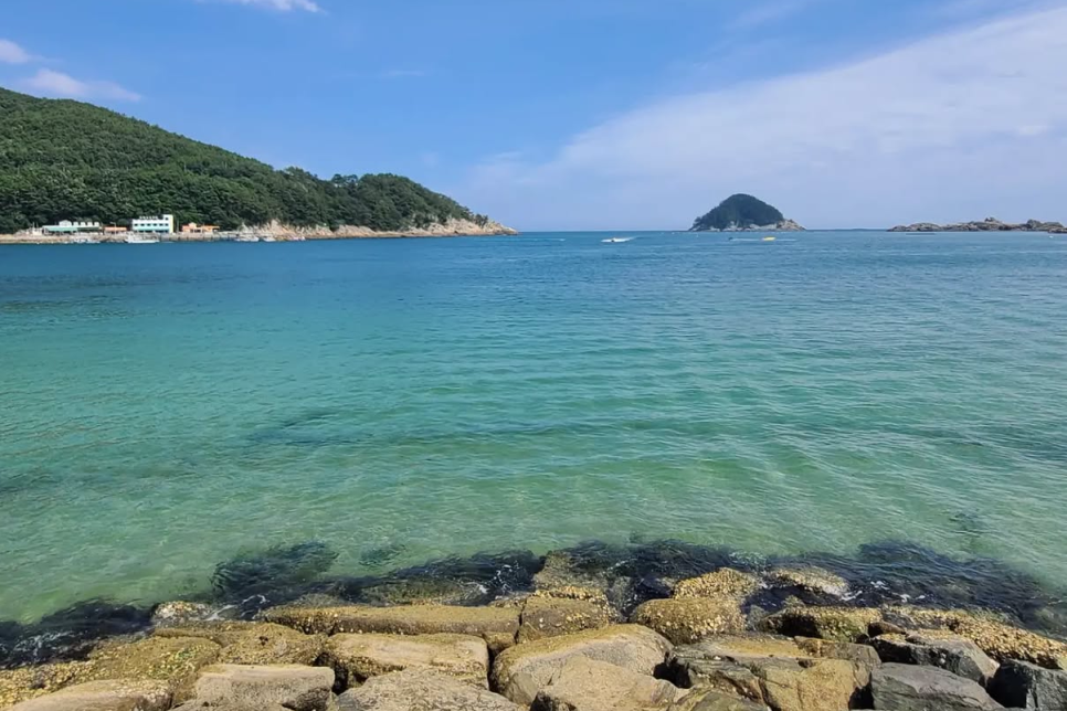 국내 해수욕장 개장일