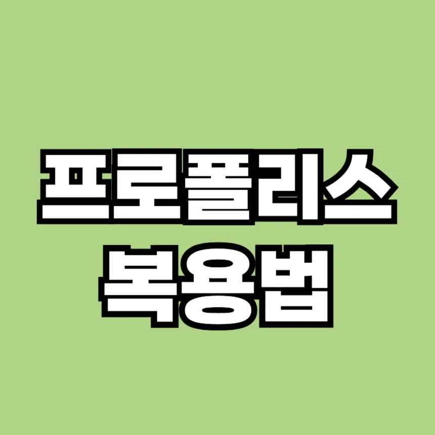 프로폴리스 복용법