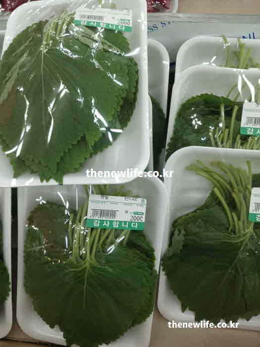 깻잎 효능 섭취 방법 잎 표면