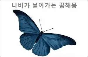 나비가 날아가는 꿈해몽