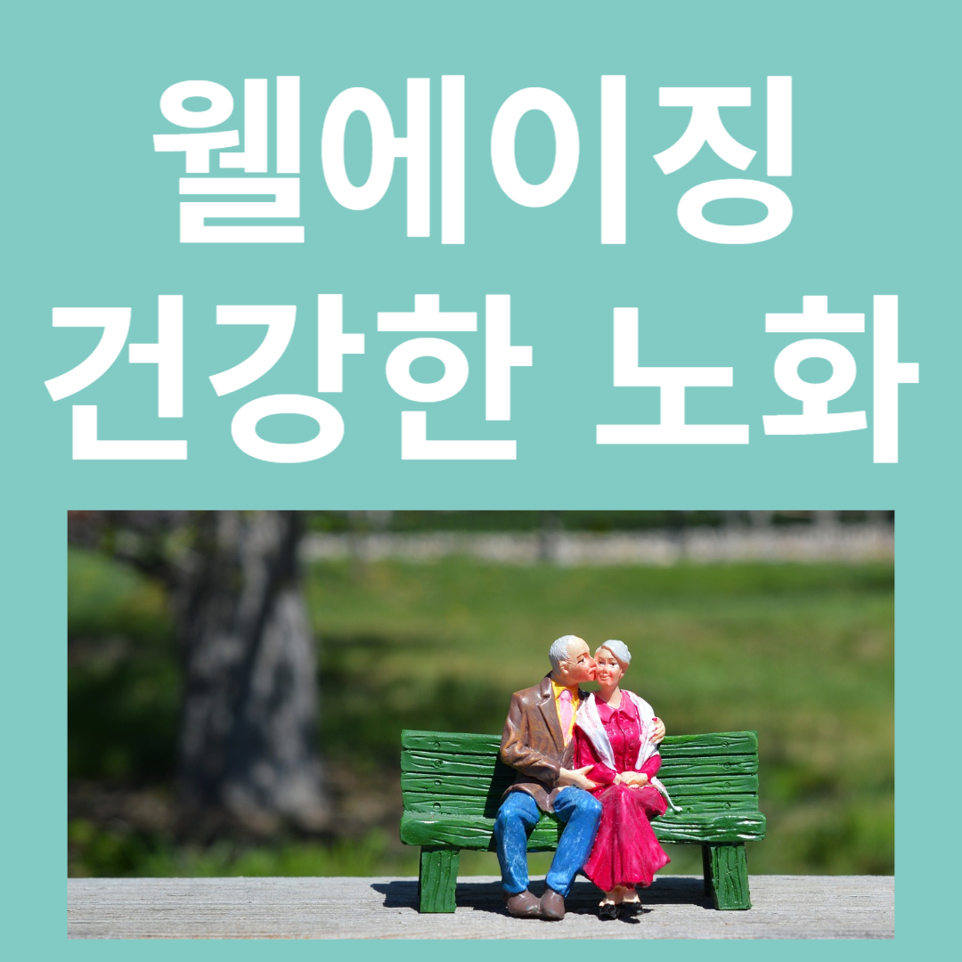 웰에이징 건강한 노화