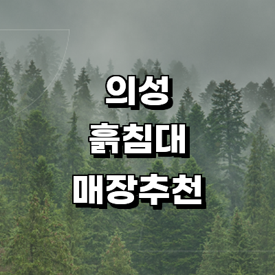 의성군 흙침대