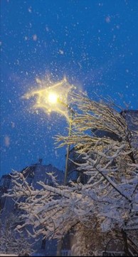 나뭇가지에-눈이-쌓여-설경을-이루는-장관