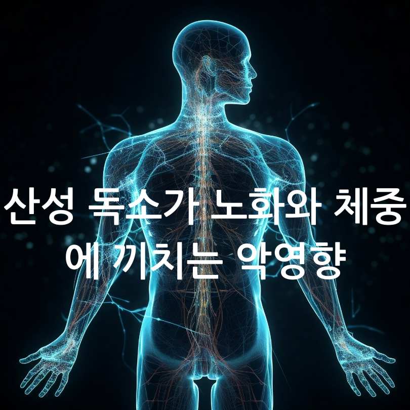 산성 독소가 노화와 체중에 끼치는 악영향