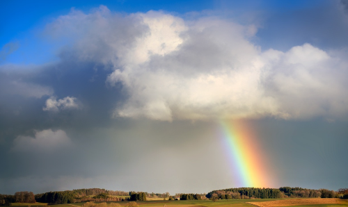 무지개 뜬 날씨