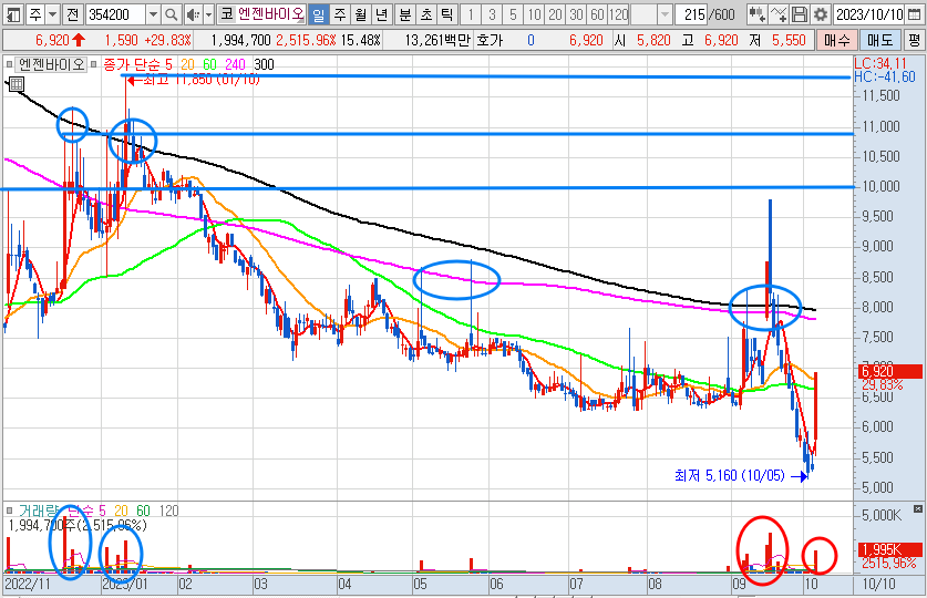 엔젠바이오 일봉 차트 분석