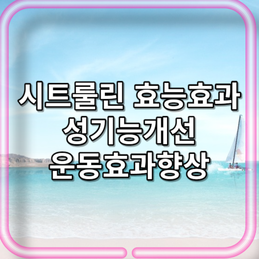 시트룰린 효능 및 효과 성기능개선_운동효과향상