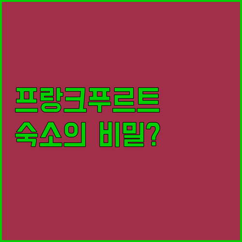 독일 여행객 90%가 모르는 프랑크푸..