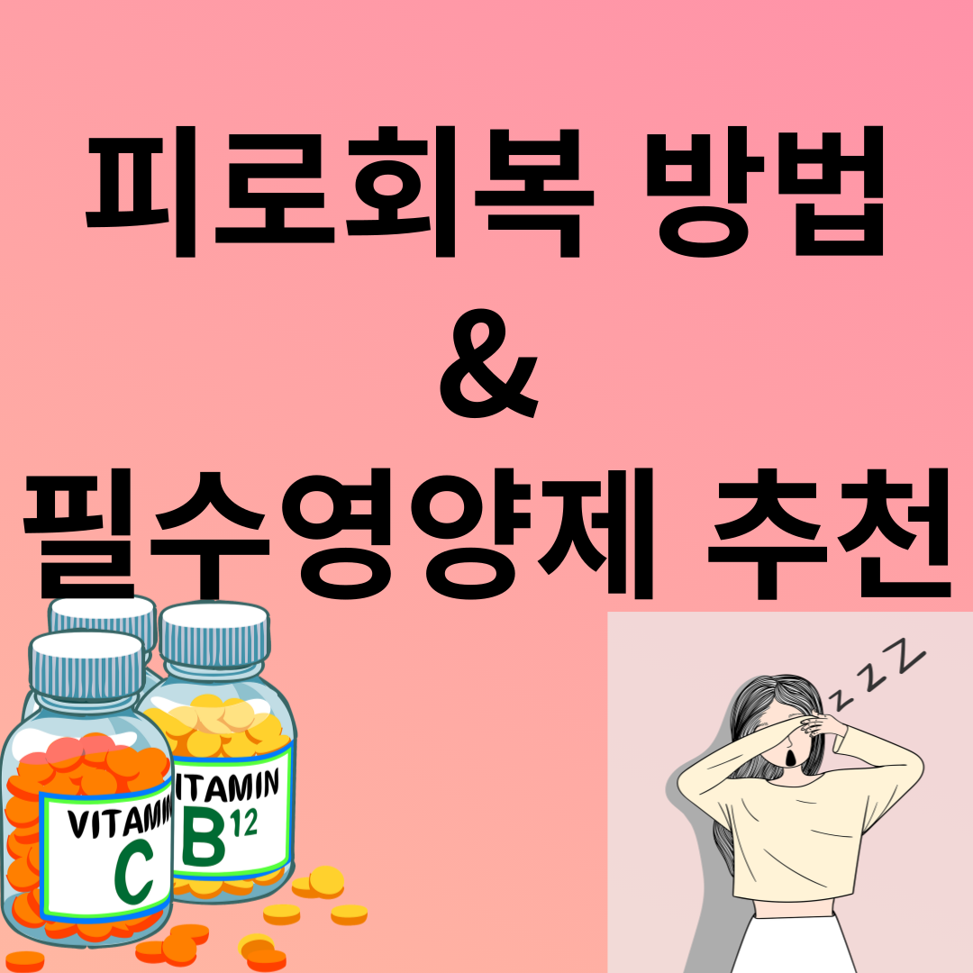 피로회복 영양제추천