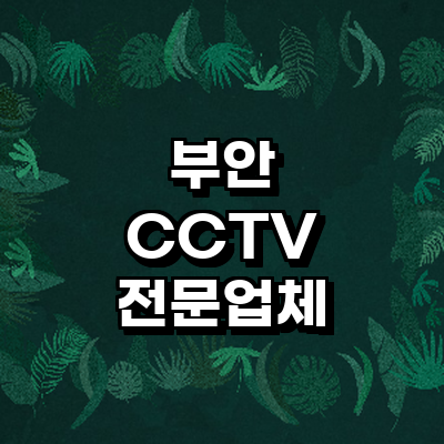 부안군 cctv
